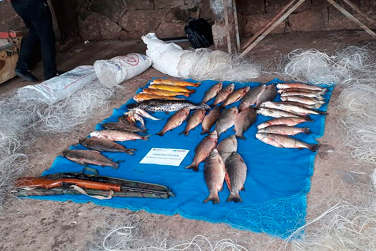 Prefectura Naval sorprendió a tres personas con 40 pescados de especies