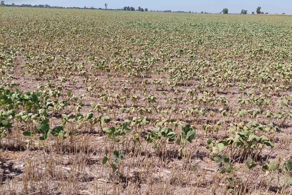 Emergencia agropecuaria abrió el registro para los productores