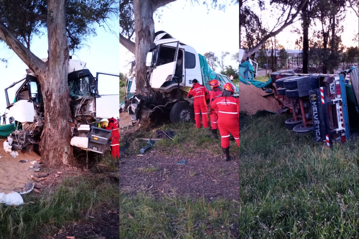 El acoplado se soltó la cabina del camión chocó de frente un árbol