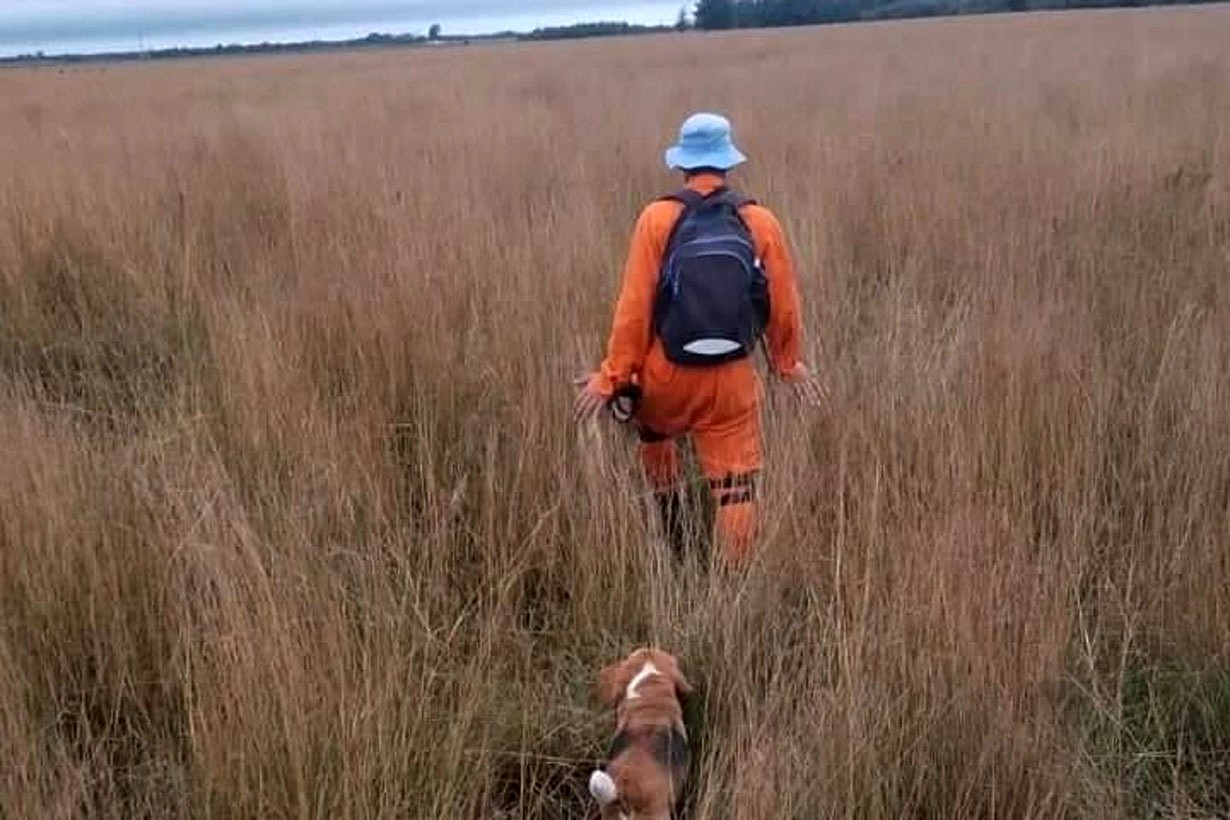 Tres binomios caninos una docena de efectivos y drones de Entre Ríos