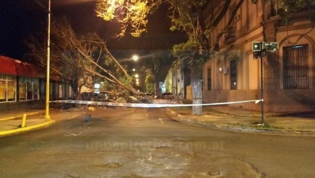 Un árbol cayó y cortó el tránsito en Santa Fe y Malvinas de Paraná (foto: UNO).