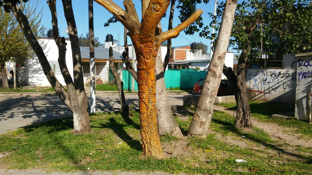 el árbol tallado hace dos años permanece intacto en una esquina