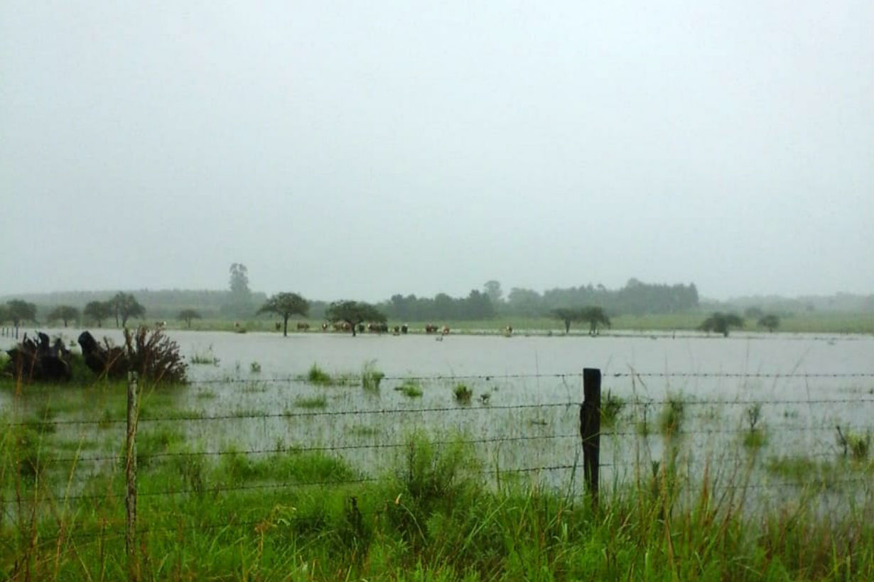 Algunos campos y caminos de la Colonia San José quedaron desbordados de agua.