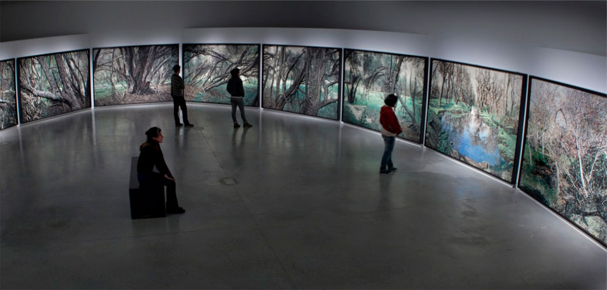 Instalación de la serie Argentina en el Museo MAMBA (2013)