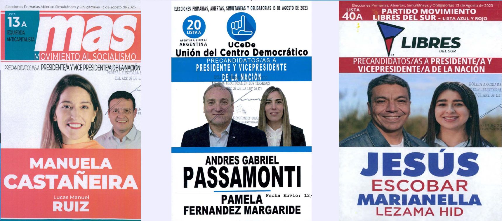 Lista 13: MAS Movimiento al Socialismo - Manuela Castañeira; Lista 20: Unión del Centro Democrático - Andrés Pasamonti; Lista 40: Libres del Sur - Jesús Escobar.