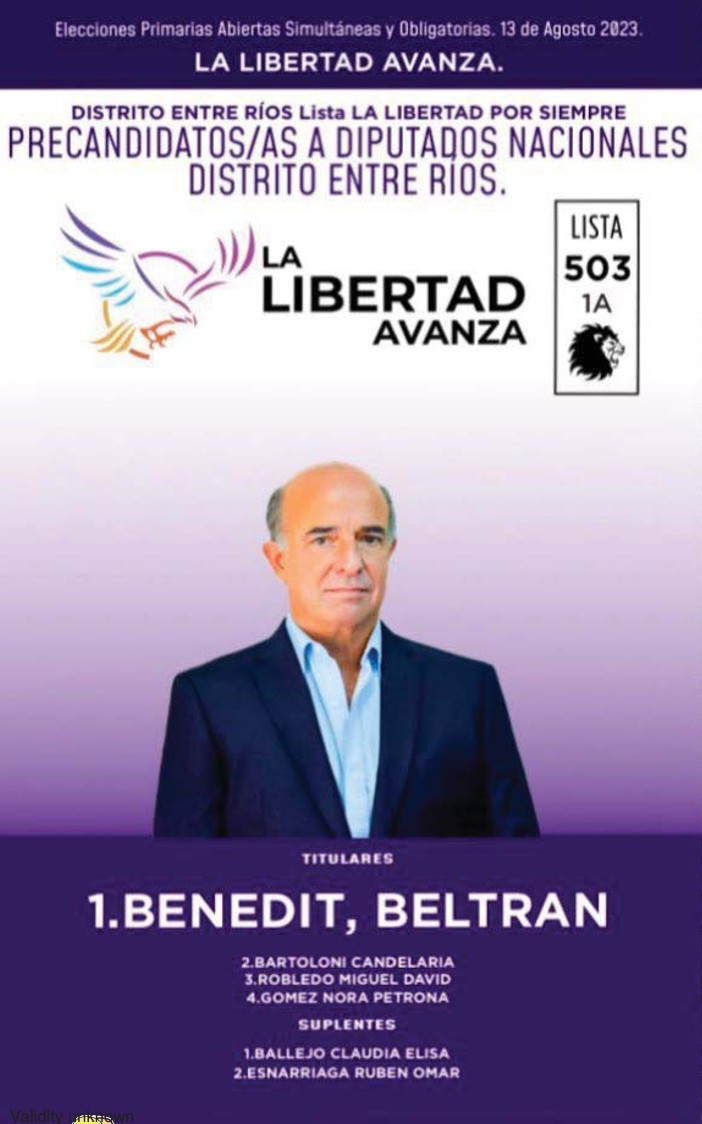 Lista 503, La Libertad Avanza, encabezada por Beltran Benedit.