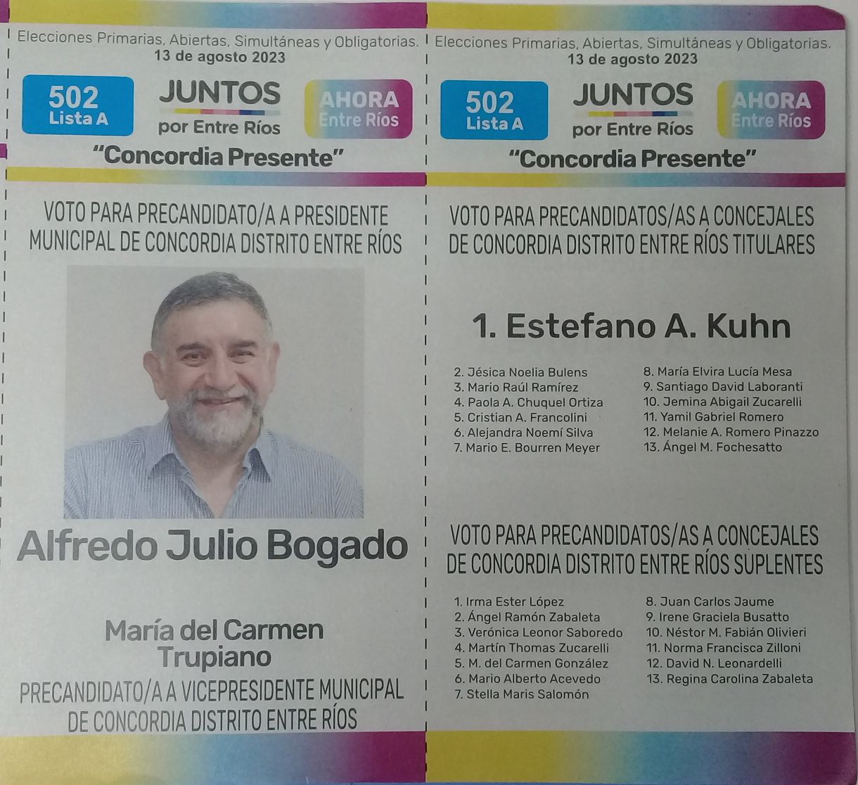 Lista 502: Juntos por Entre Ríos - Alfredo Julio Bogado.
