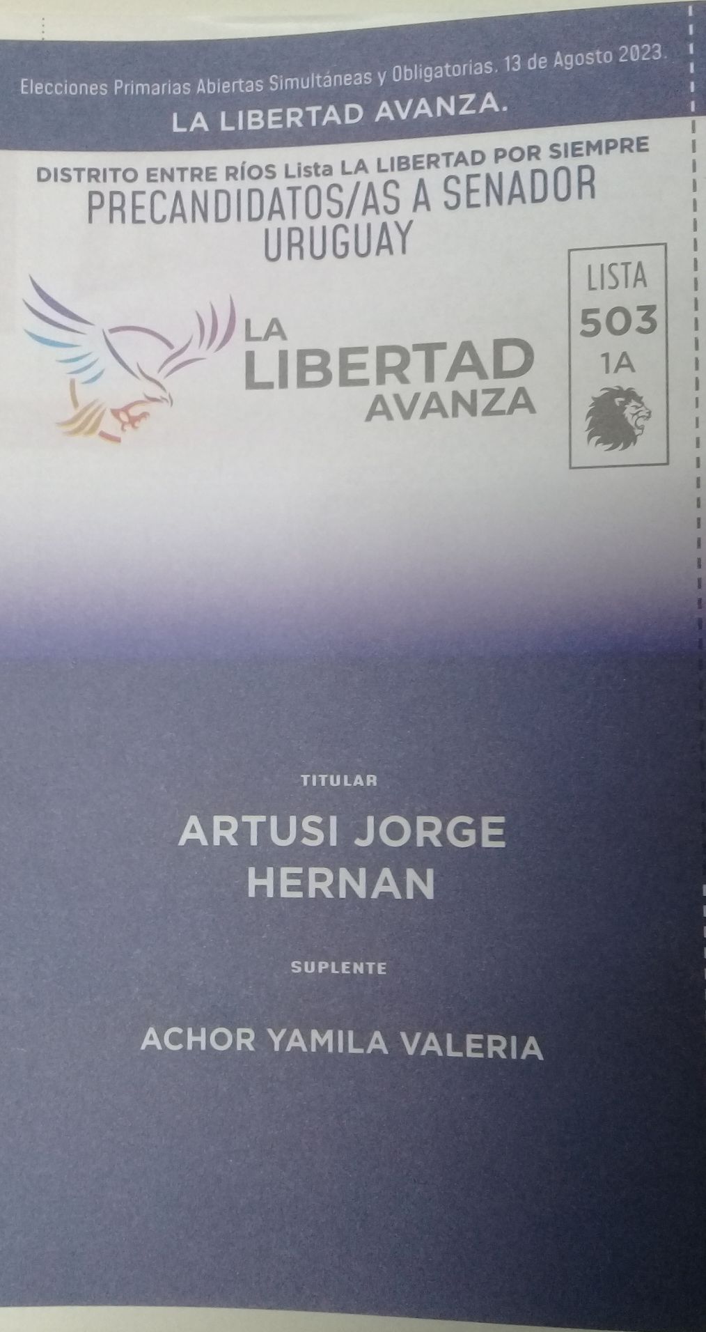 Lista 503, La Libertad Avanza, encabezada por Jorge Hernán Artusi.