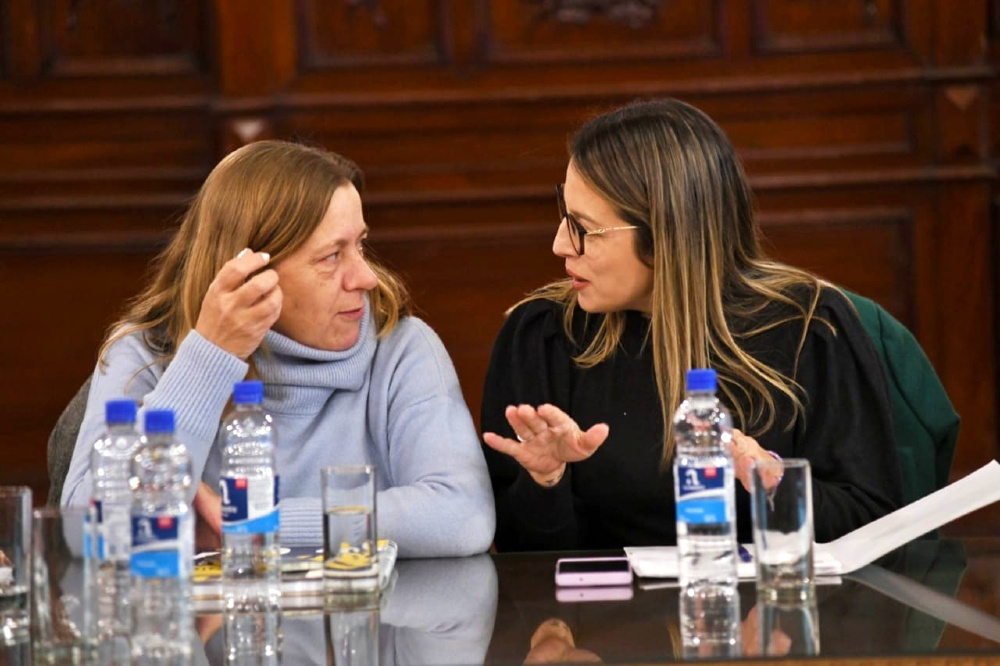 La ministra Verónica Berisso formó parte de la reunión de comisión de Desarrollo Social.