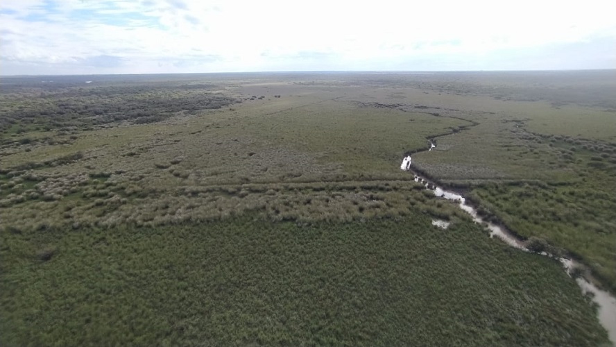 Zona de búsqueda de Fabiani.