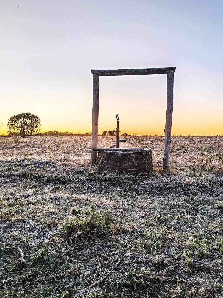 Una postal de la helada en tierras sanduceras (foto: Karina Guichón).