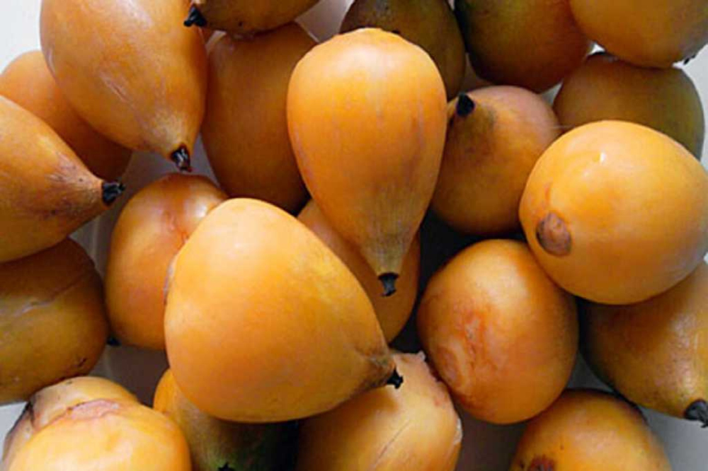 El fruto de la palmera yatay está presente en Colón, Concordia, Villaguay y Paraná, entre otras.