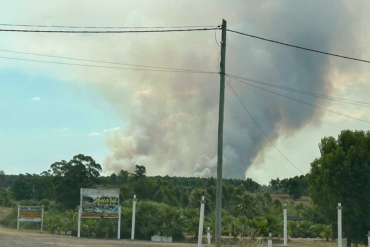 La columna de humo, vista desde la ruta A015