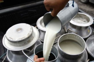 El Gobierno anunció suspensión de las retenciones a la lechería por 90 días, pero hay una condición
