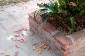 Lo encontraron tirado en la calle con varias puñaladas
