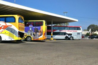 Polémica en Concordia: las empresas de transporte regionales no reconocen el boleto de discapacidad