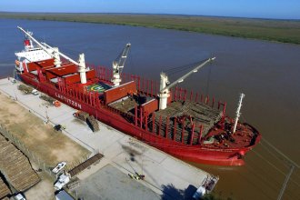 Un nuevo buque cargado de madera de pino partirá del Puerto de Ibicuy
