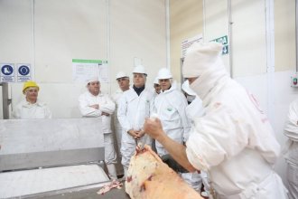 Desde Entre Ríos a Estados Unidos: un frigorífico fue habilitado para exportar carne vacuna