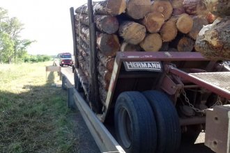 Cargado con madera, se partió el acoplado y el camión se fue a la banquina