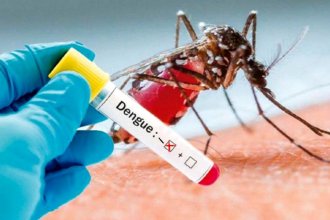 Confirmaron dos nuevos casos de dengue en Paraná y ya son 38 en Entre Ríos