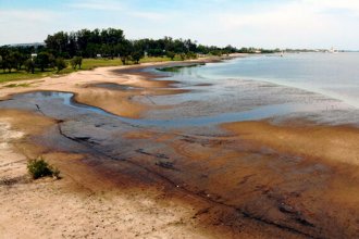 El estiaje del río Uruguay se prolonga y las cianobacterias encuentran condiciones propicias para multiplicarse