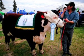 Expo rurales 2020: productores entrerrianos resolvieron cuándo y cómo serán