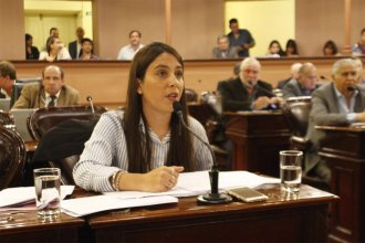 Consejo de la Magistratura: diputada provincial insinuó que está en marcha un golpe de Estado