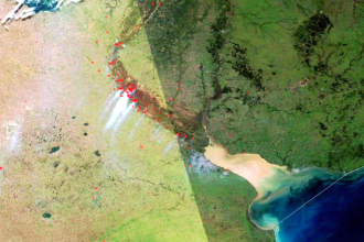 Incendios en el Delta: la lista de propietarios que serán notificados por la Justicia