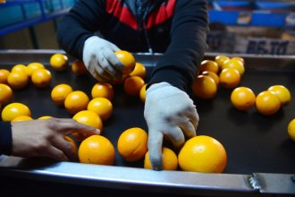 “Un diagnóstico preocupante pero compartido”. Analizan cómo hacer frente a la informalidad laboral en el citrus