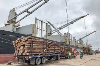 Dos buques cargarán más de 55 mil toneladas de madera entrerriana en los puertos de La Histórica e Ibicuy