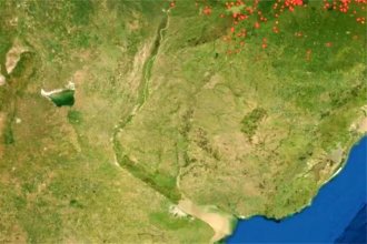 El Delta del Paraná, “libre de fuego”: ¿A qué adjudican su extinción?