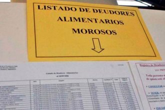 Por unanimidad, aprobaron la creación del Registro Público de Deudores Alimentarios Morosos