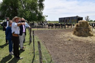 Guiño al campo: licitan compra de equipamiento para el sector lácteo de Entre Ríos
