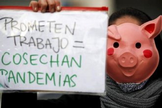 Ciudad de la costa del Uruguay juntará firmas para decir "no" a la instalación de megagranjas porcinas