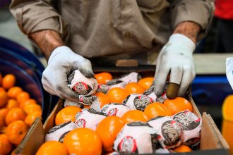 La Federación Argentina del Citrus rechaza las asignaciones extraordinarias para trabajadores rurales