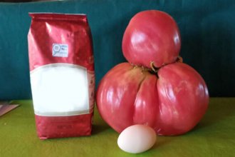 Productor se llevó una sorpresa al cosechar “súper” tomates: pesan más de 2 kilos