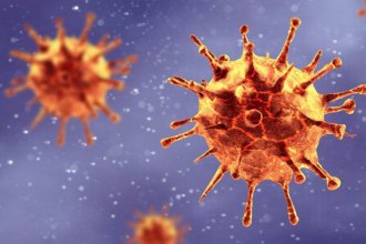 Coronavirus por todas partes: registraron más de mil contagios en solo 24 horas