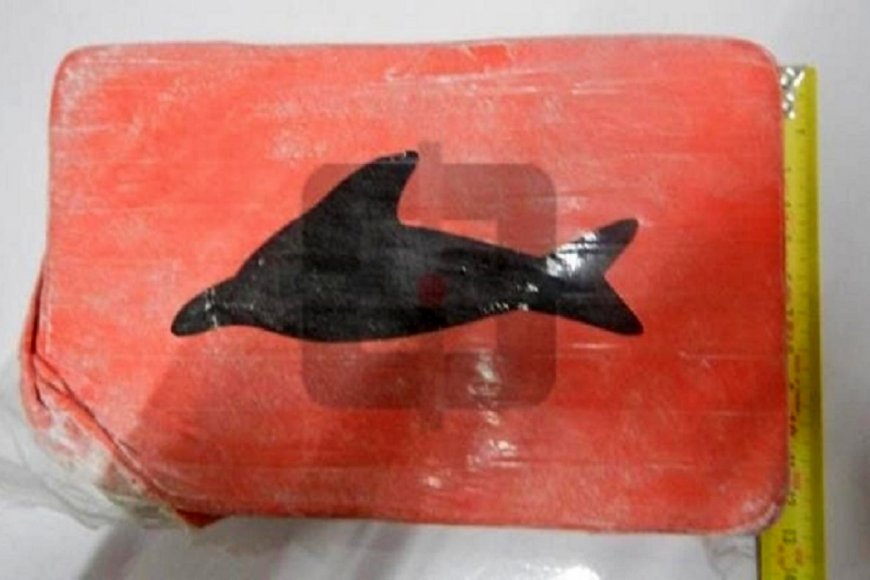 La marca del delfin en los panes de Santo Tomé.