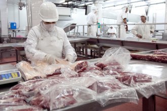 Autorizaron la exportación de los “siete cortes populares” de carne: finalizó la vigencia de un decreto del 2021