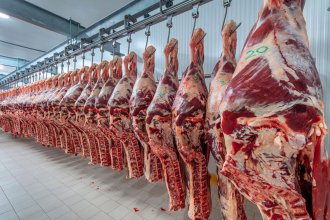Para evitar la suba de precios, prohíben por dos años las exportaciones de cortes de carne parrilleros