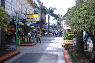 Concejales del PJ proponen modificar la Tasa Comercial y reducir la presión fiscal al comercio local