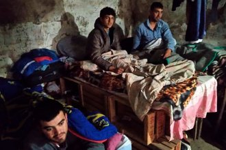 Trabajadores de la fruta, “hacinados”: muestran camas hechas con cajones y denuncian largas jornadas laborales