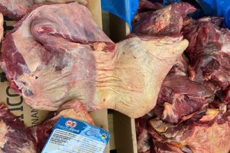 En el contexto del cese a las exportaciones de carne, Aduana expone a un frigorífico entrerriano