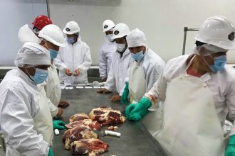El cepo a la carne retrasa la apertura del frigorífico Yuquerí, que podría emplear hasta 400 personas