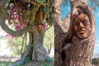 Aparecieron misteriosas máscaras en los árboles de Paraná: ¿de qué se tratan?