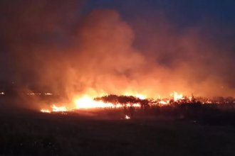 Tras horas de trabajo, Bomberos controlaron un grave incendio en Concordia: afectó casi 90 hectáreas
