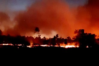 Incendio arrasó con 800 hectáreas: debieron convocar a bomberos de otras localidades