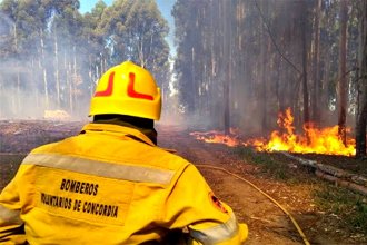 En Entre Ríos, casi 20 mil hectáreas fueron arrasadas por el fuego durante 2021