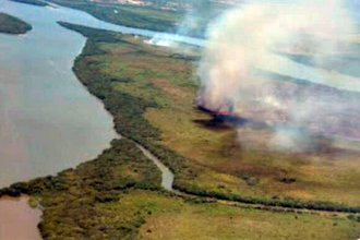 Arden pajonales en una isla frente a La Histórica: confían en que un arroyo frene al fuego