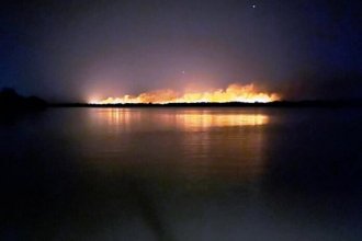 La razón por la que Bomberos no combatirán los incendios en una isla frente a Concepción del Uruguay